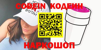 индика Анжеро-Судженск