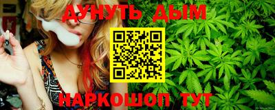 индика Анжеро-Судженск