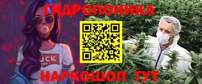индика Анжеро-Судженск